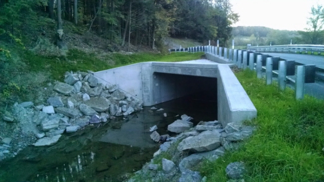 LTT Bridge pic for website