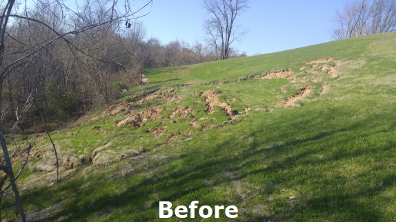 Slip Before(Website Before n After PIC)